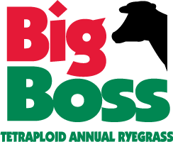 Big Boss Ryegrass Logo