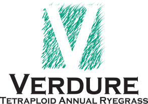 Verdure Logo
